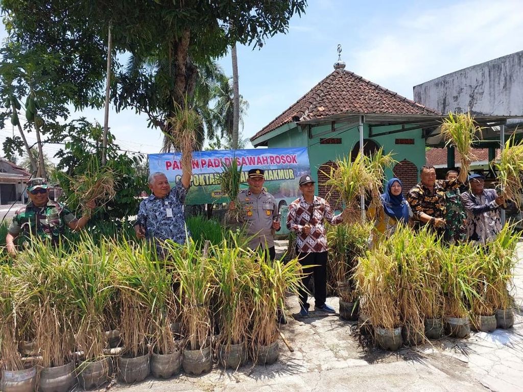 Penampakan Sawah Rongsok Mbah Suhan di Gunungkidul, Irit Biaya-Anti Ribet